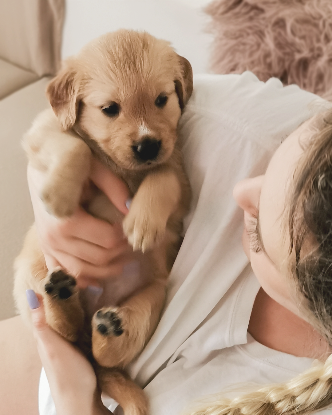 Klaudia with Golden Retrievers — photo 2